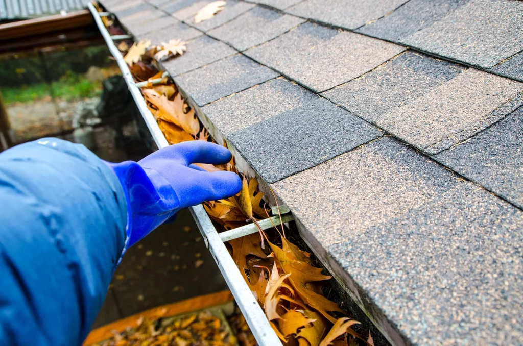 hand with glove removing leaves from clogged gutter